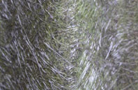 Stretton Grandison fibreglass roof work